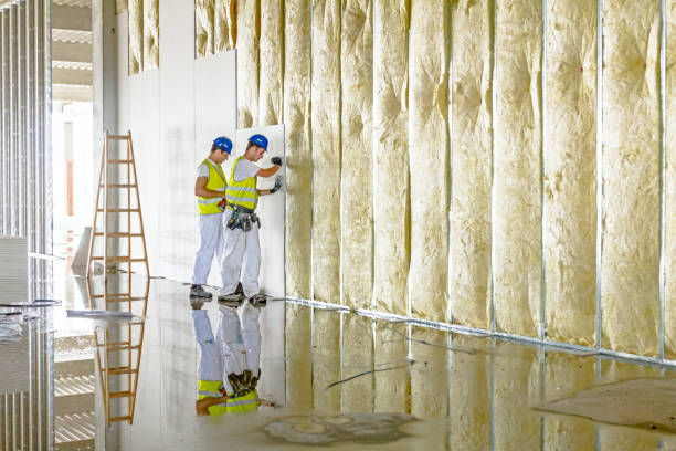 Types of Insulation We Offer in Timpson, TX